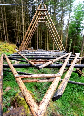 Round Wood Framing In The Forest