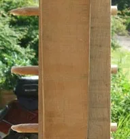 Oak pegs securing a joint