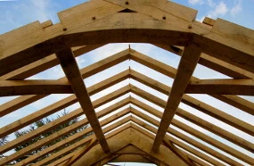 Green oak roof frame